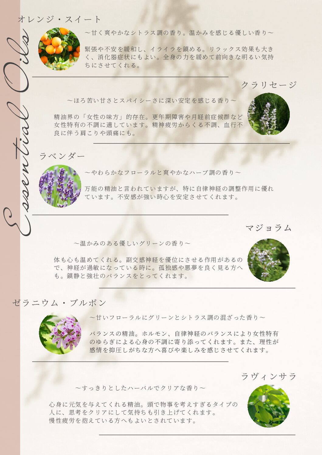 予約の流れ・料金
